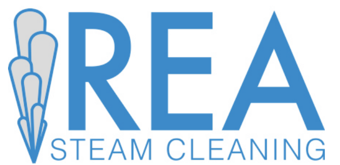 Rea India Steam Cleaning Machine